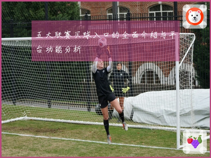 五大联赛买球入口的全面介绍与平台功能分析