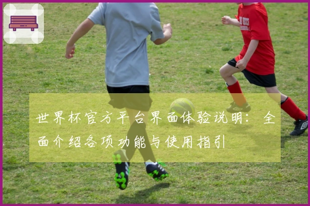 世界杯官方平台界面体验说明：全面介绍各项功能与使用指引