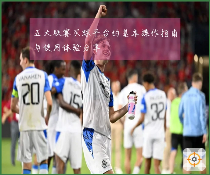 五大联赛买球平台的基本操作指南与使用体验分享