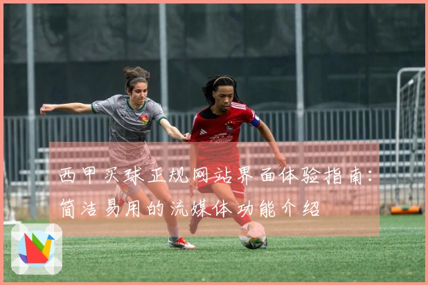 西甲买球正规网站界面体验指南：简洁易用的流媒体功能介绍