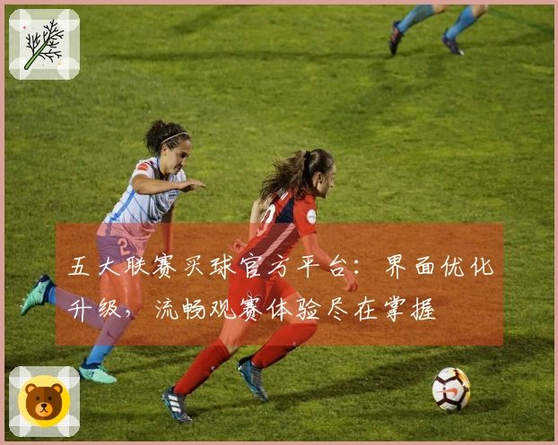 五大联赛买球官方平台：界面优化升级，流畅观赛体验尽在掌握