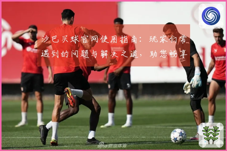 沙巴买球官网使用指南：玩家们常遇到的问题与解决之道，助您畅享体育直播