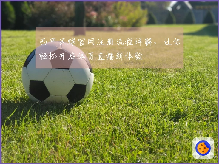 西甲买球官网注册流程详解，让你轻松开启体育直播新体验